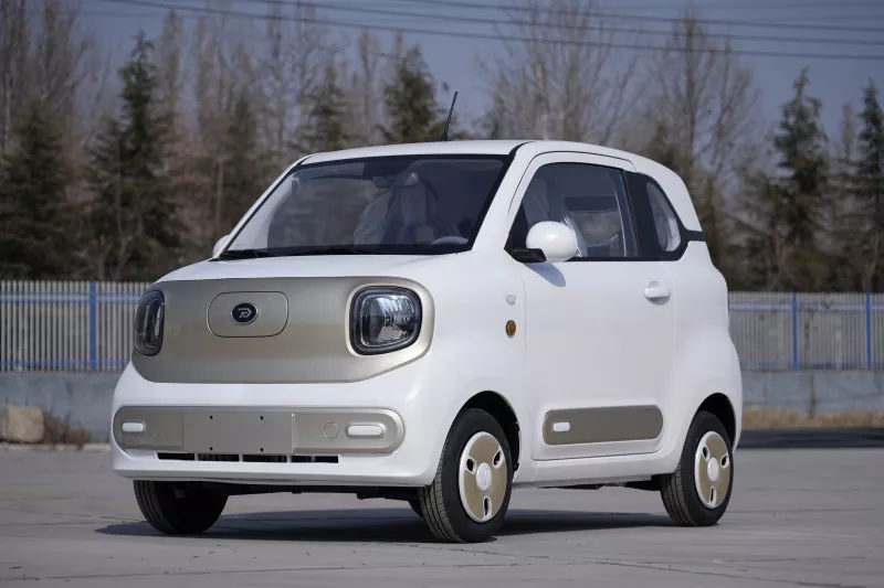 Xe vận chuyển điện mini